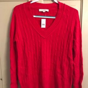 Ann Taylor Loft v-neck sweater NWT
